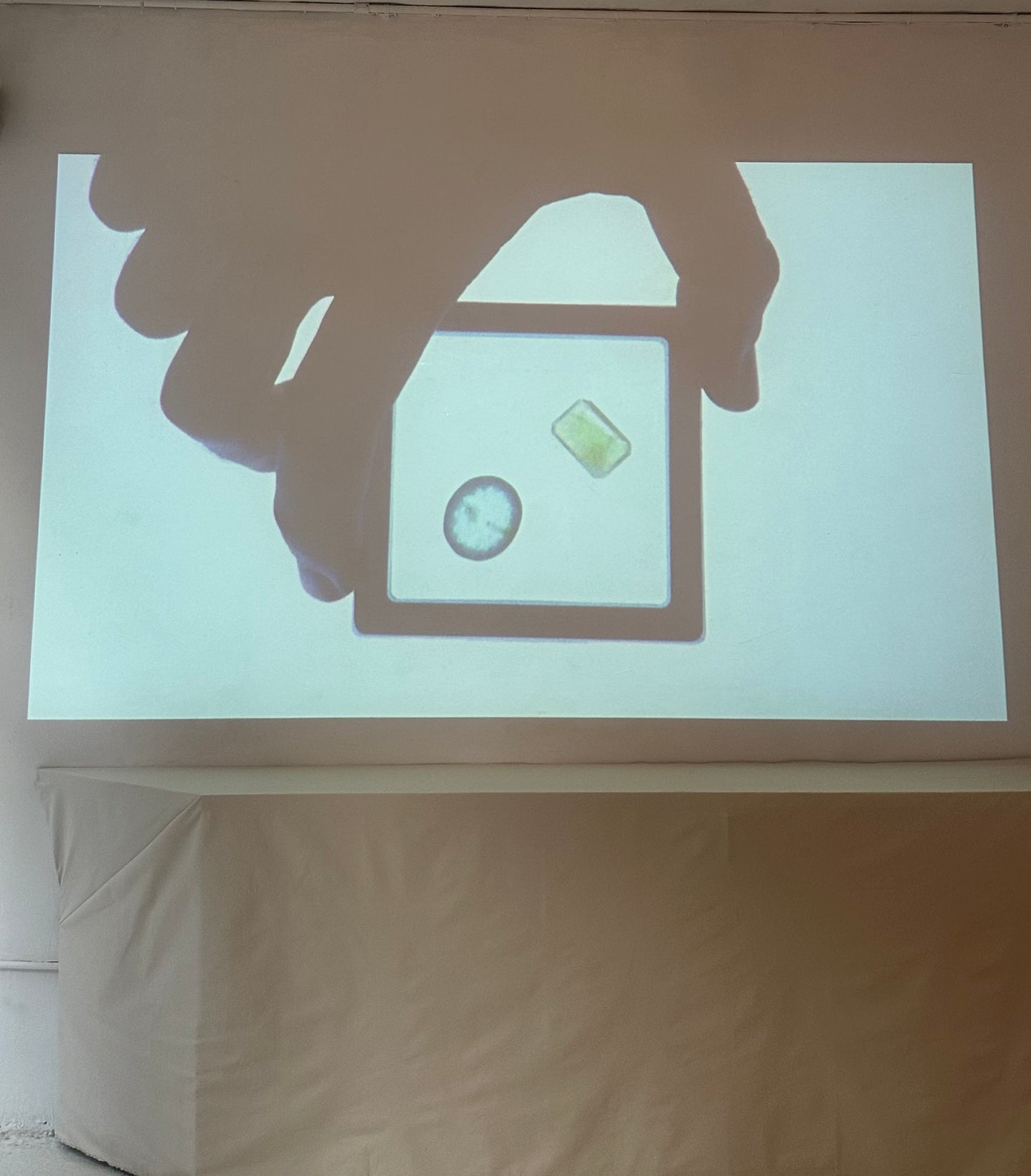 Epson Ceiling Projector